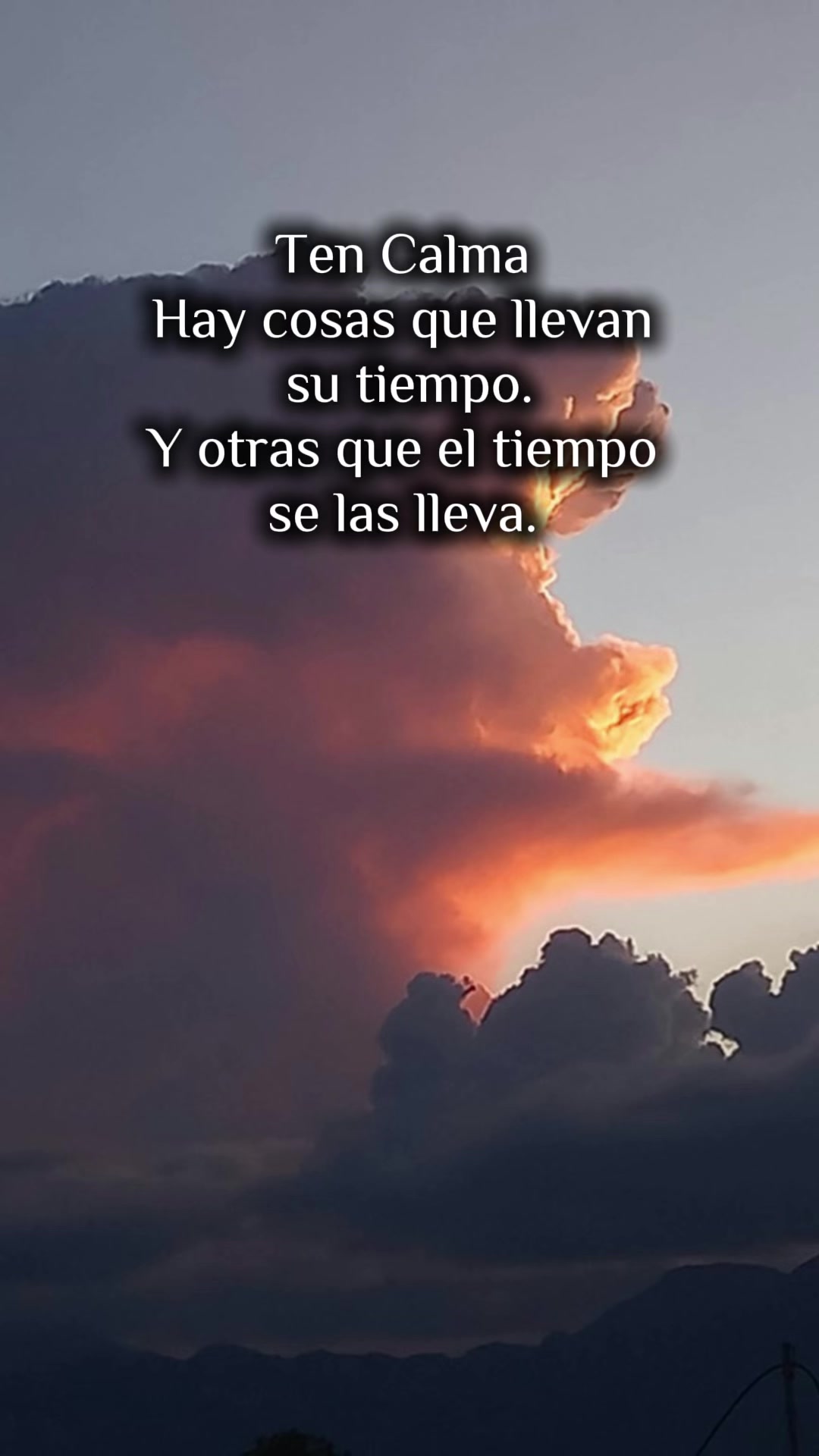 @Vane LC