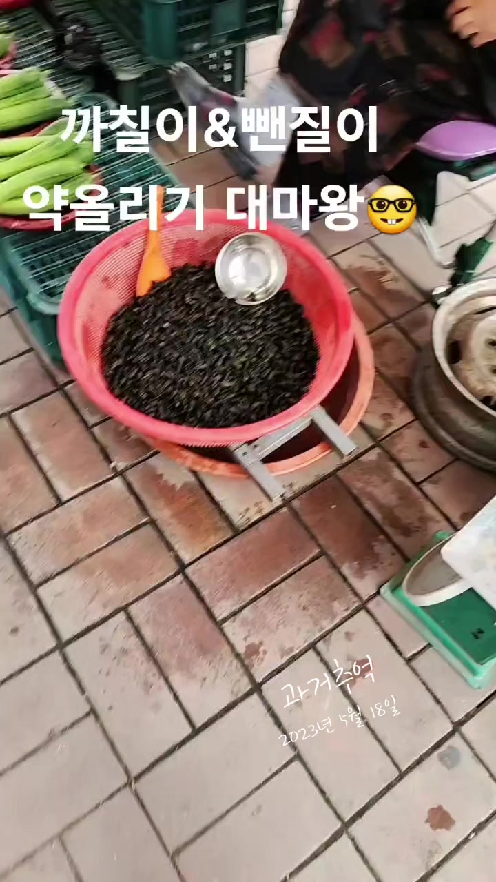 @나는 자연인이다 ~🤪