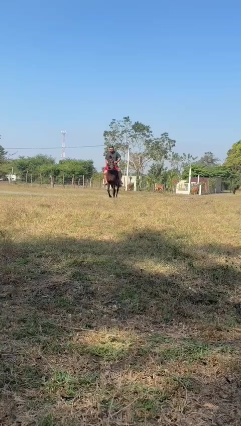 @Gustavo Reyes