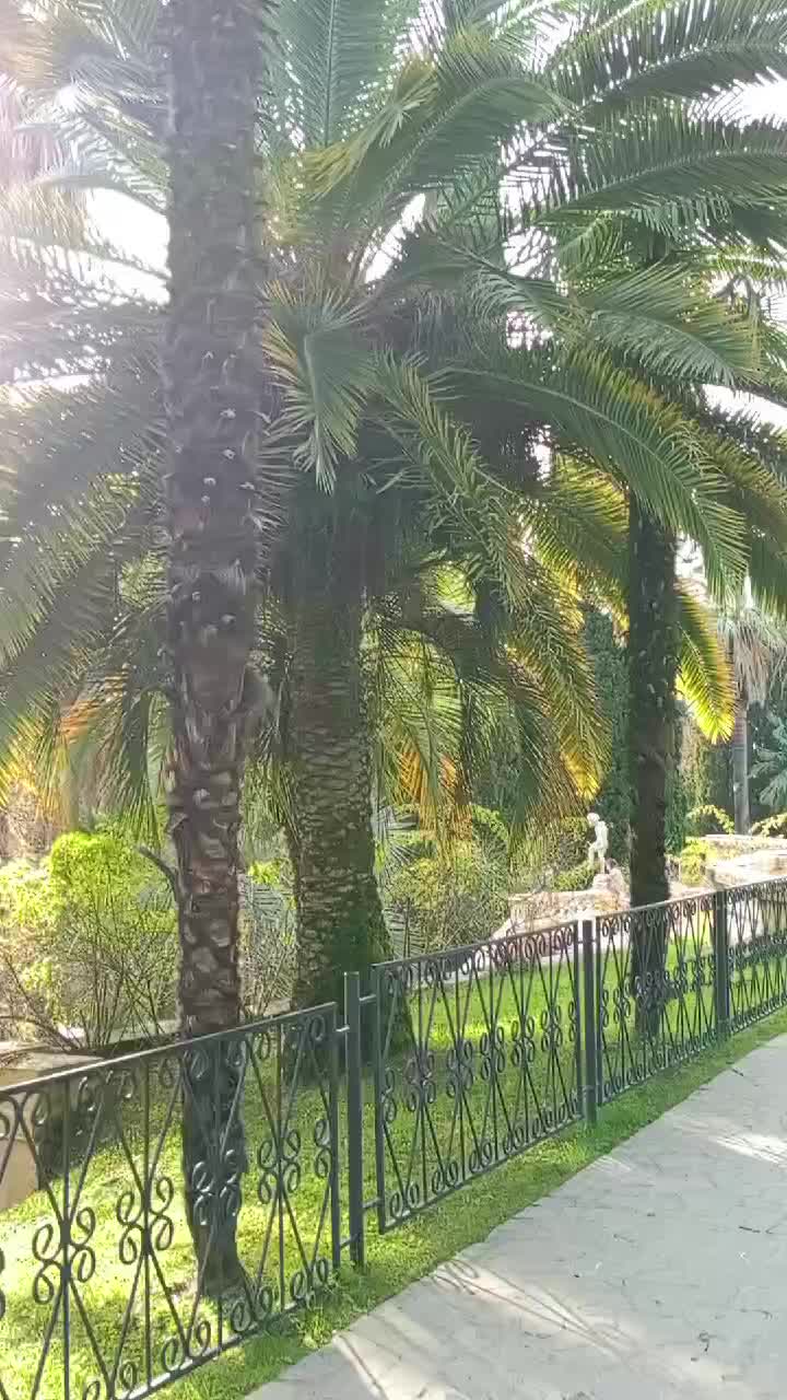 @natali79