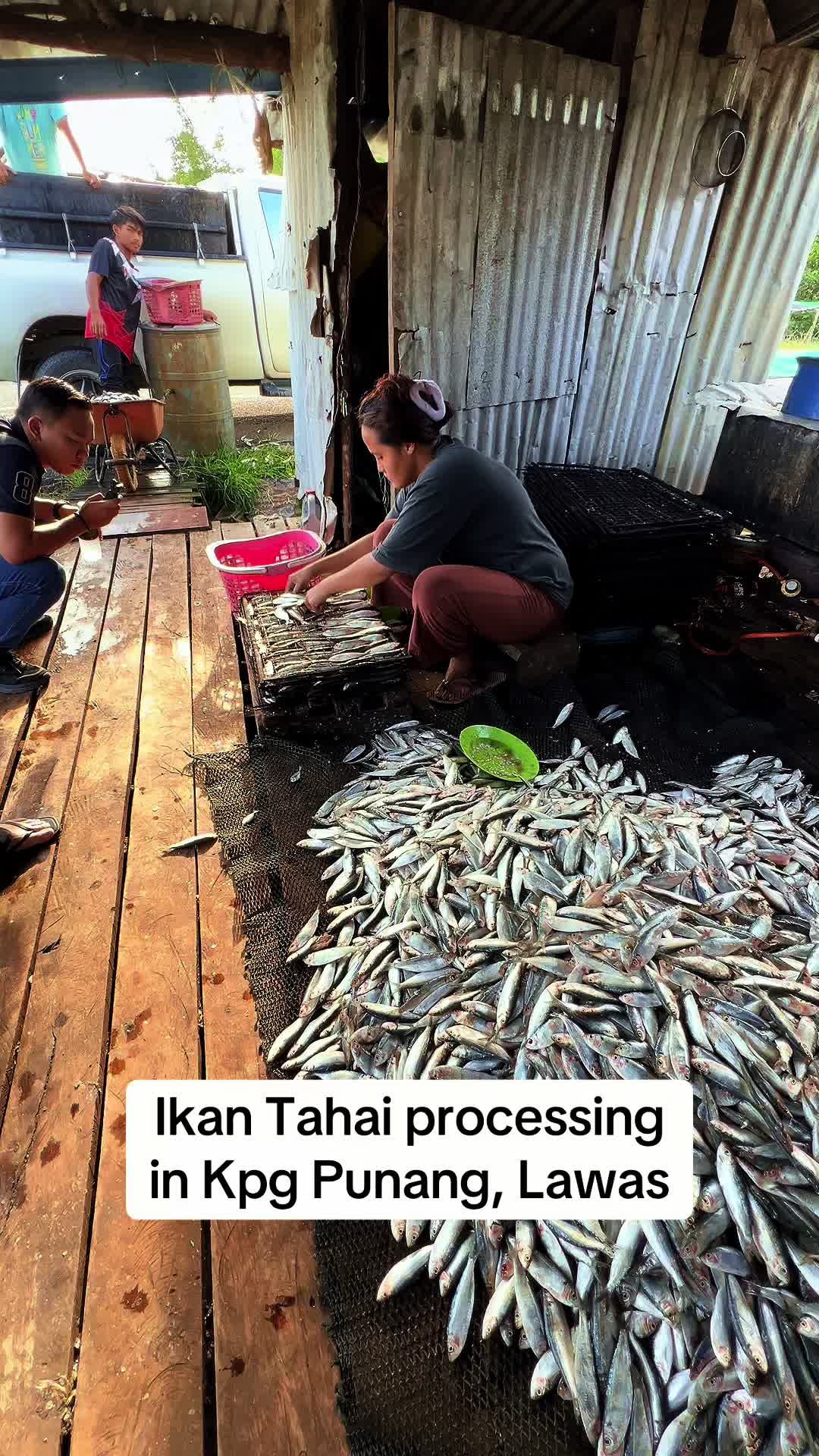 @kai_trusan