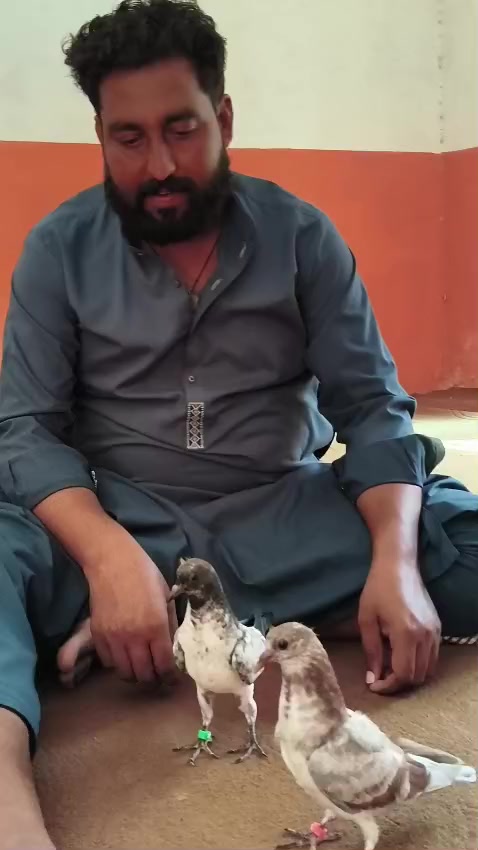 @mani Dogar 7/11