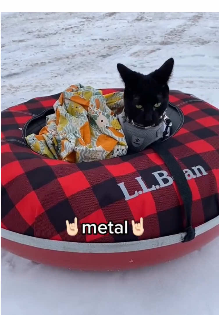 @Catmom92