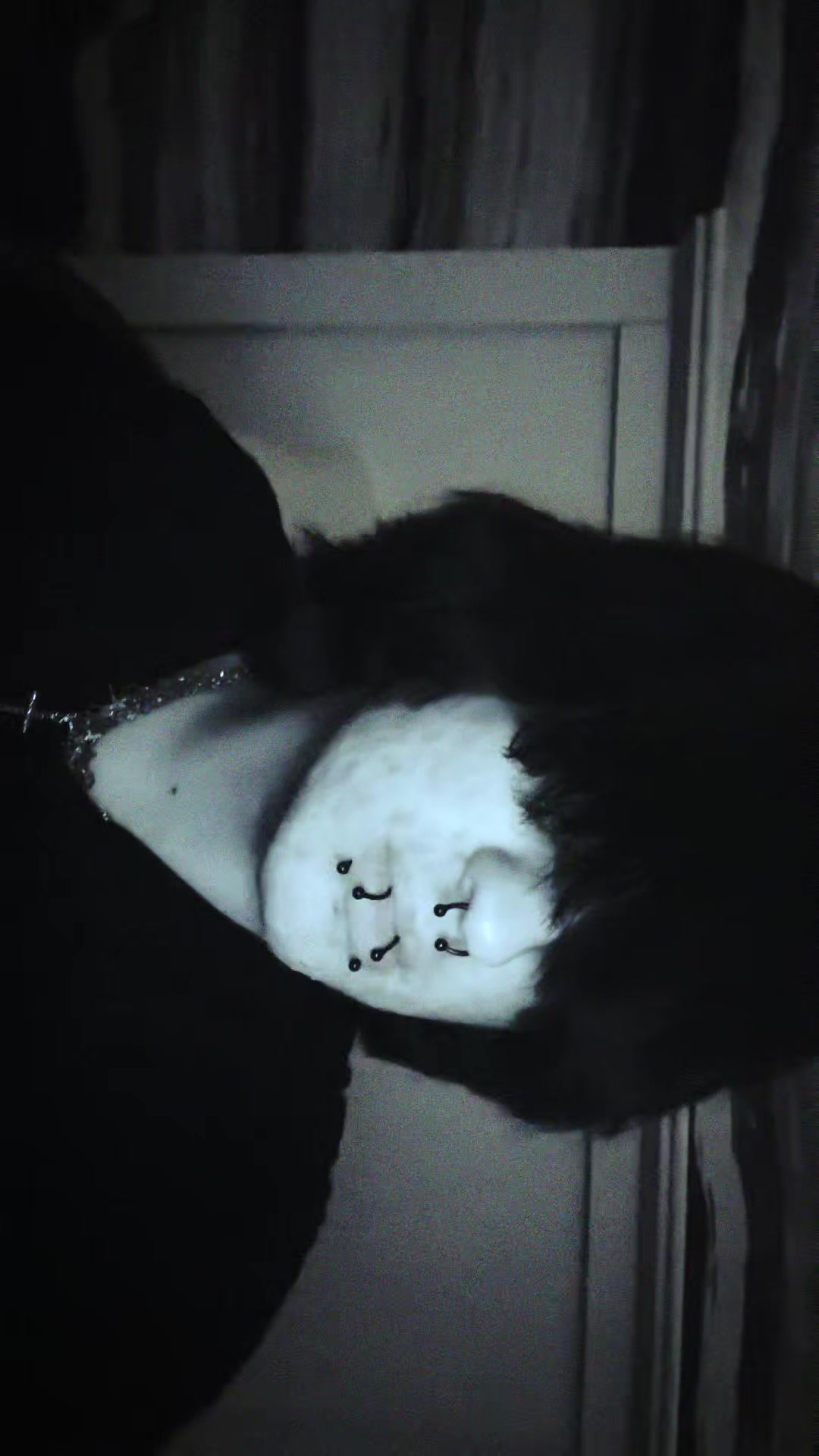 @☠︎︎ ⋆₊ ♱ rottencherub ☠︎︎ ⋆₊ ♱