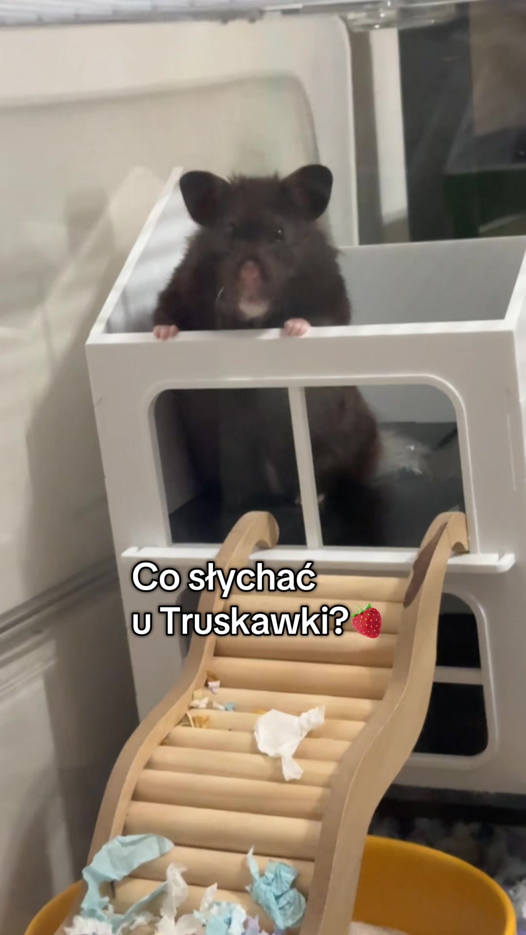 @nianioo