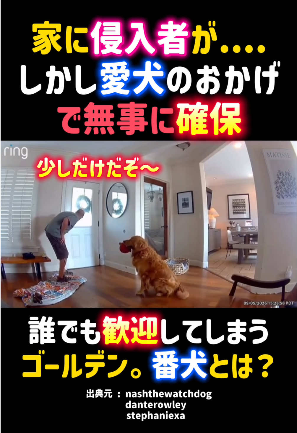 @動物癒し動画♡ animal cute