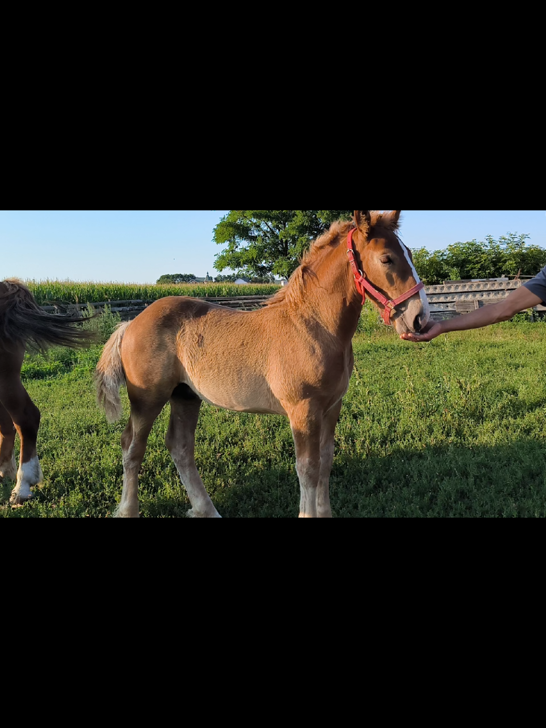@ВАСЯ БОЙЧУК 🐎