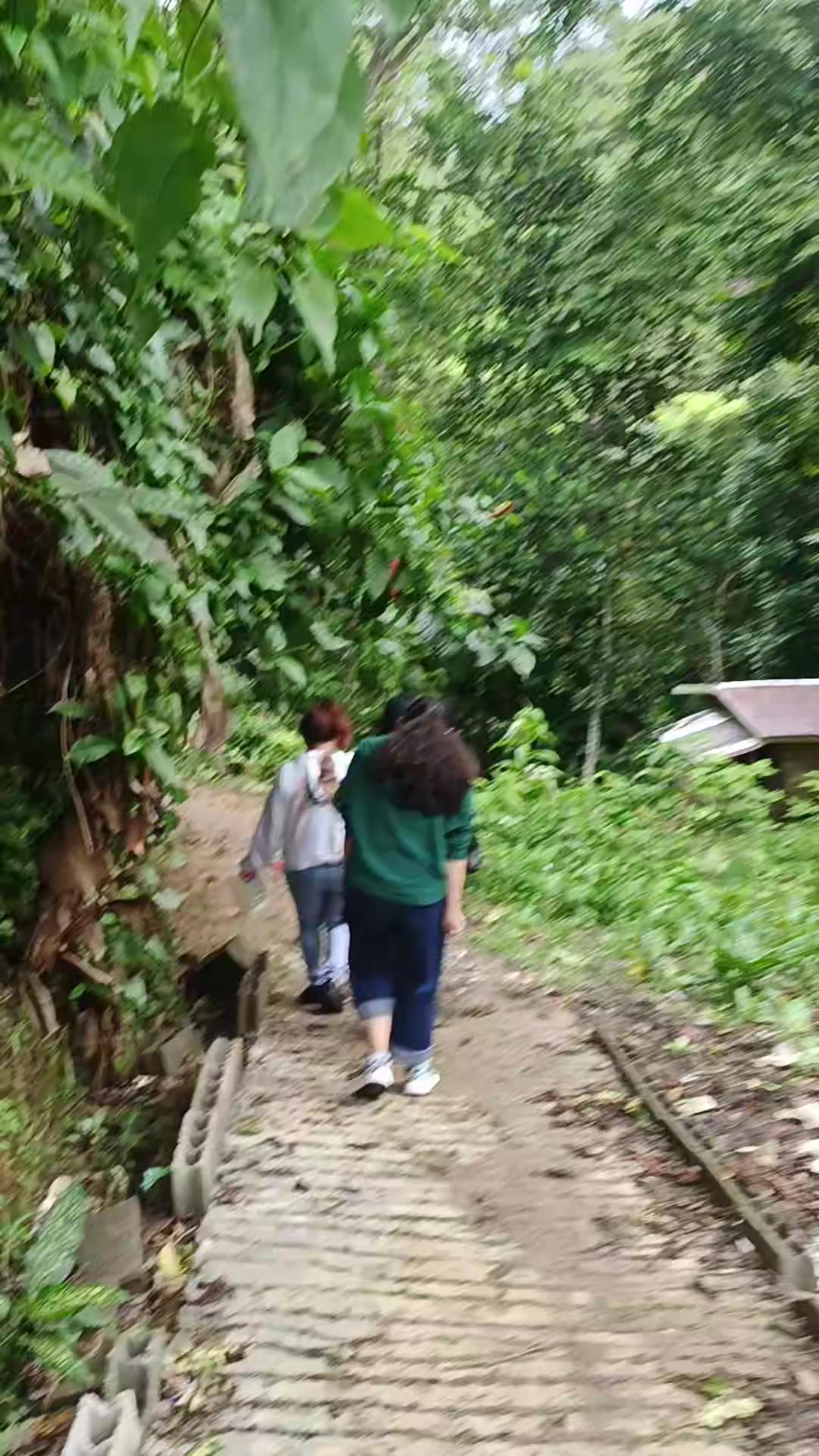 @🎶🎵gab veña🎶🎵