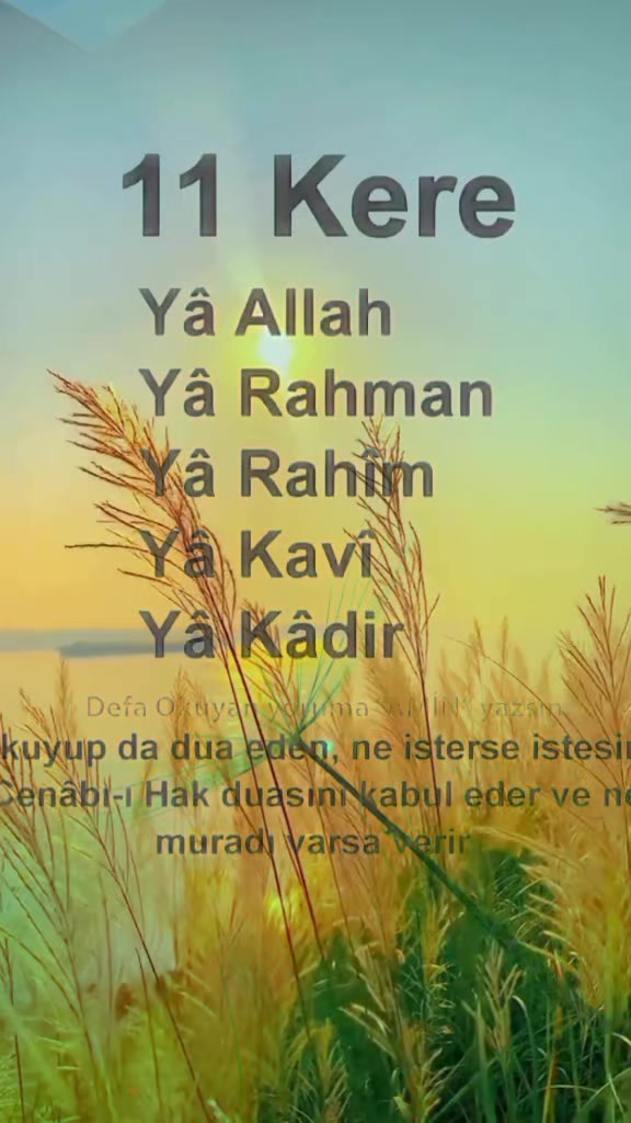 @SATİLİR SEYFE SEXSİDE YAZ🙏🙏