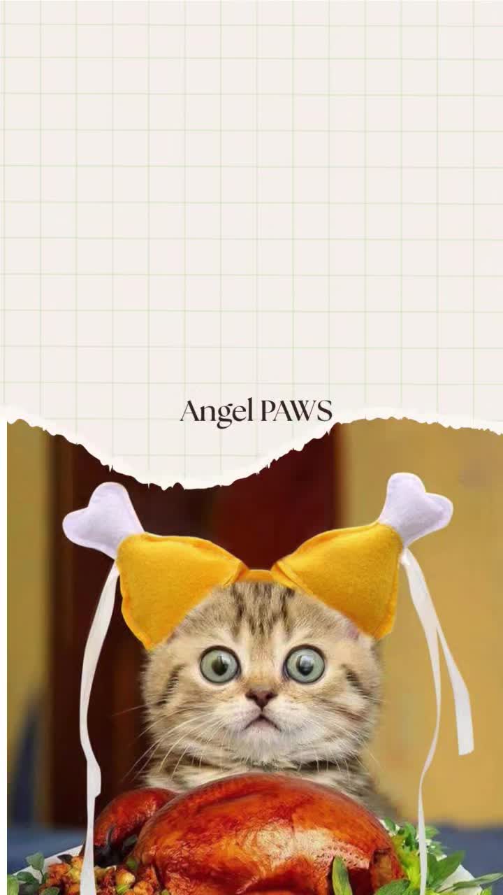 @Angel PAWS