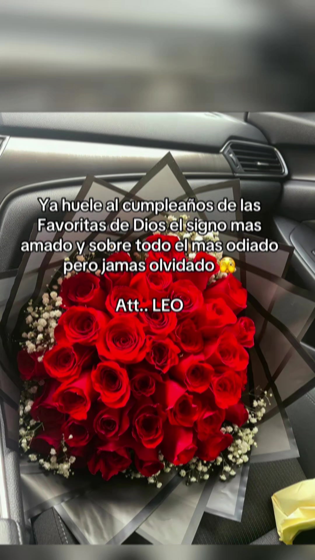 @Nelly Fernandez