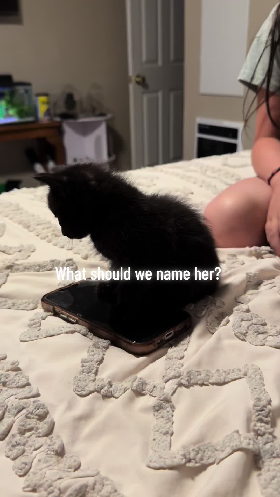@KrazyKatz