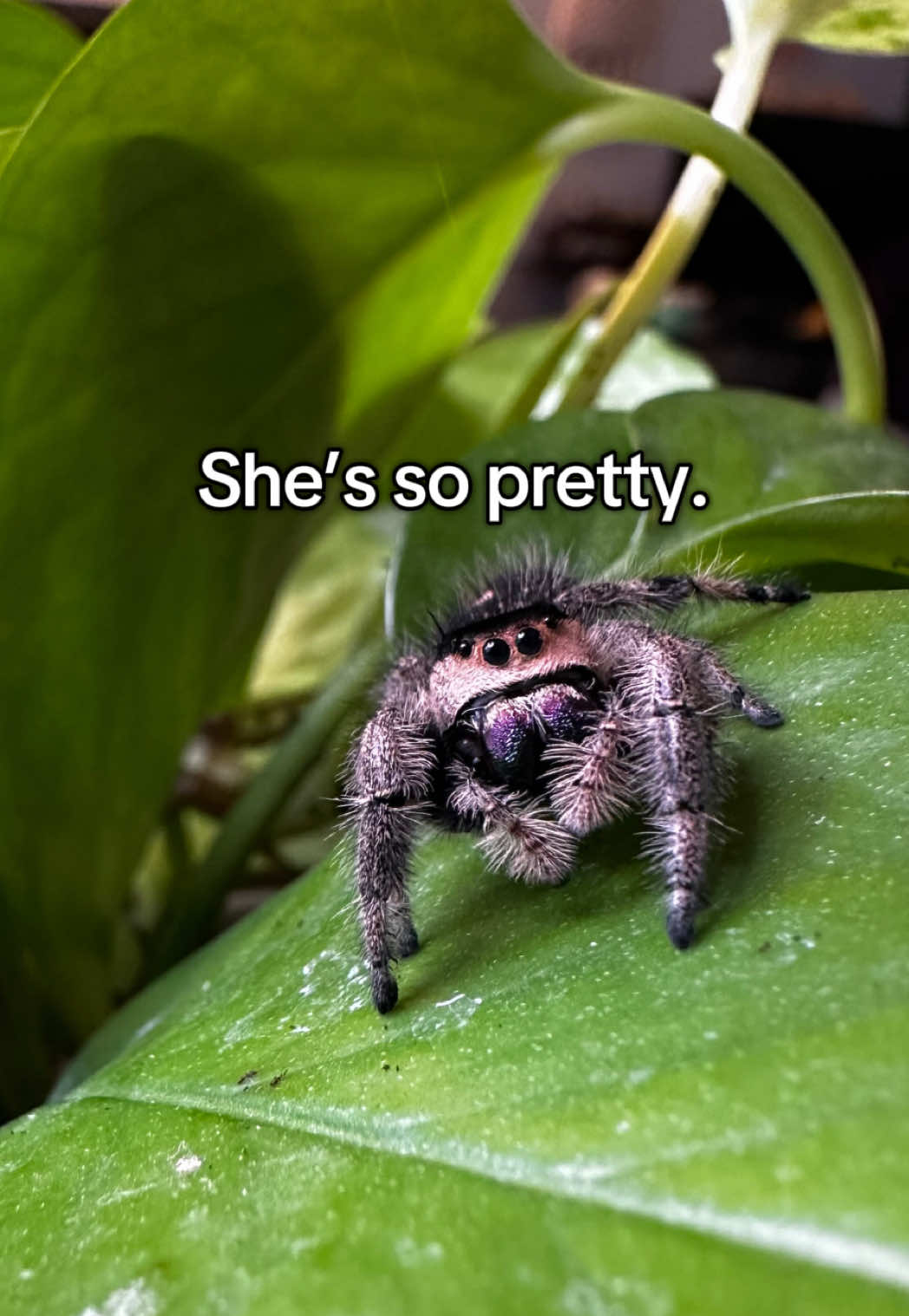 @Kara