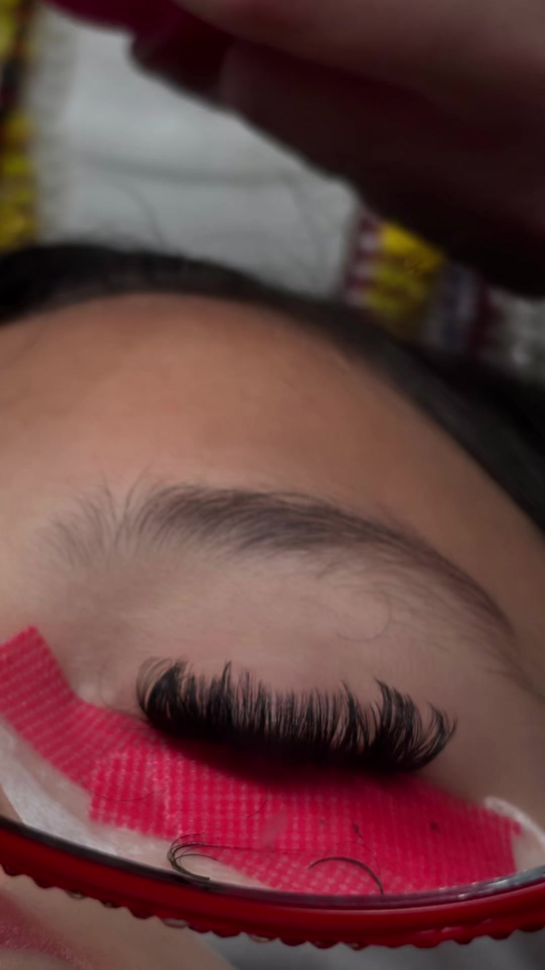 @Ashcashmar🦚
