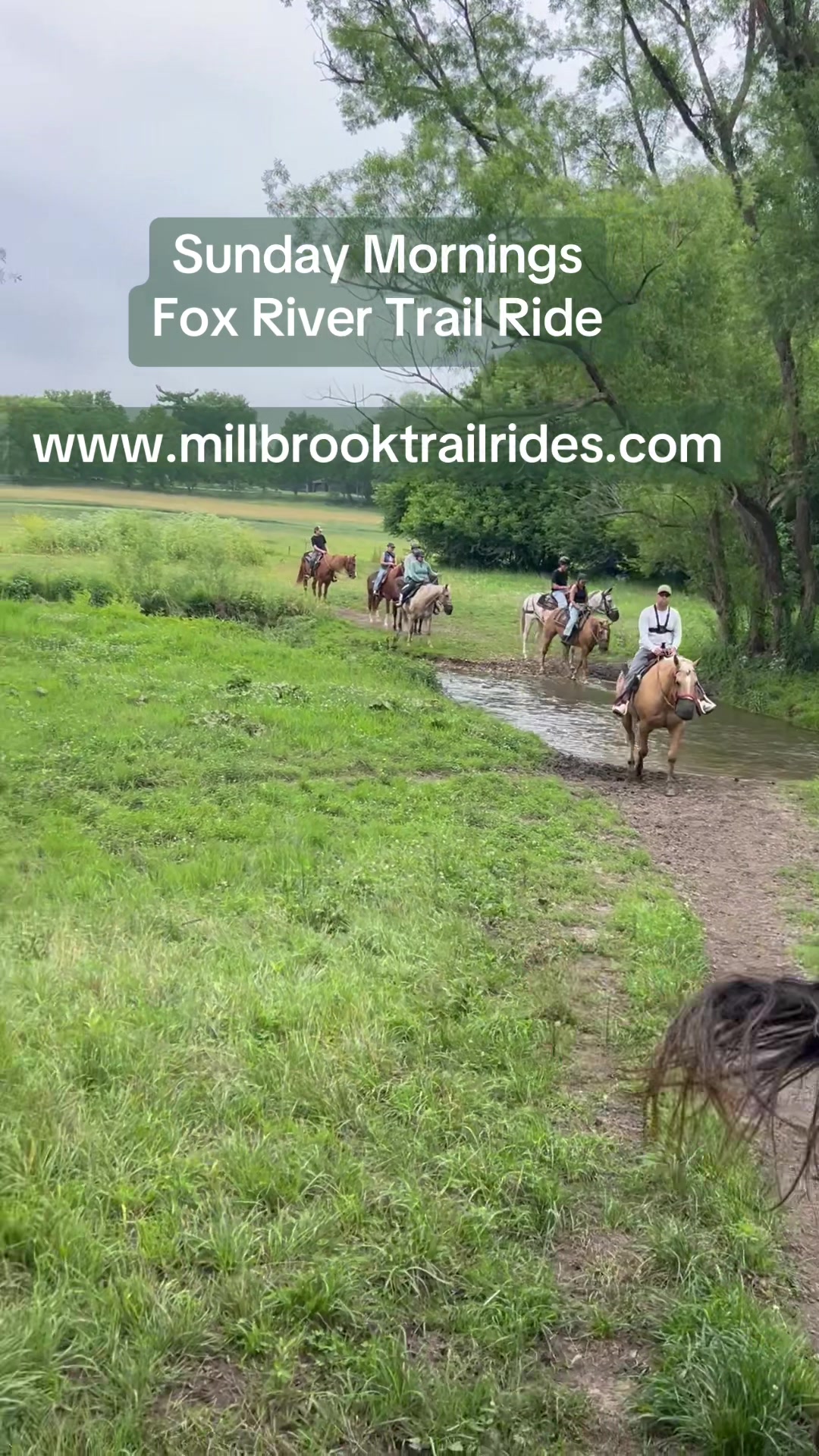 @Millbrook Trail Rides