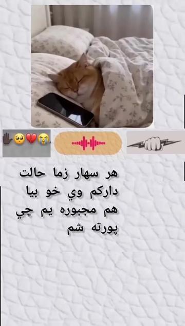 @:.SALAR~A.F.G•🙋.🇦🇫.🔞.🇬🇧}