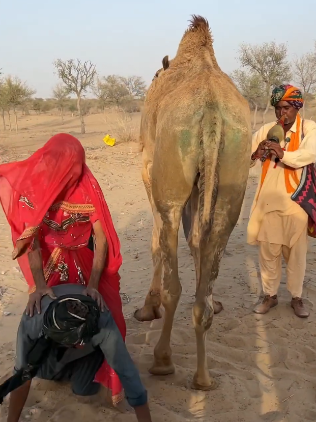@Camel Lovers