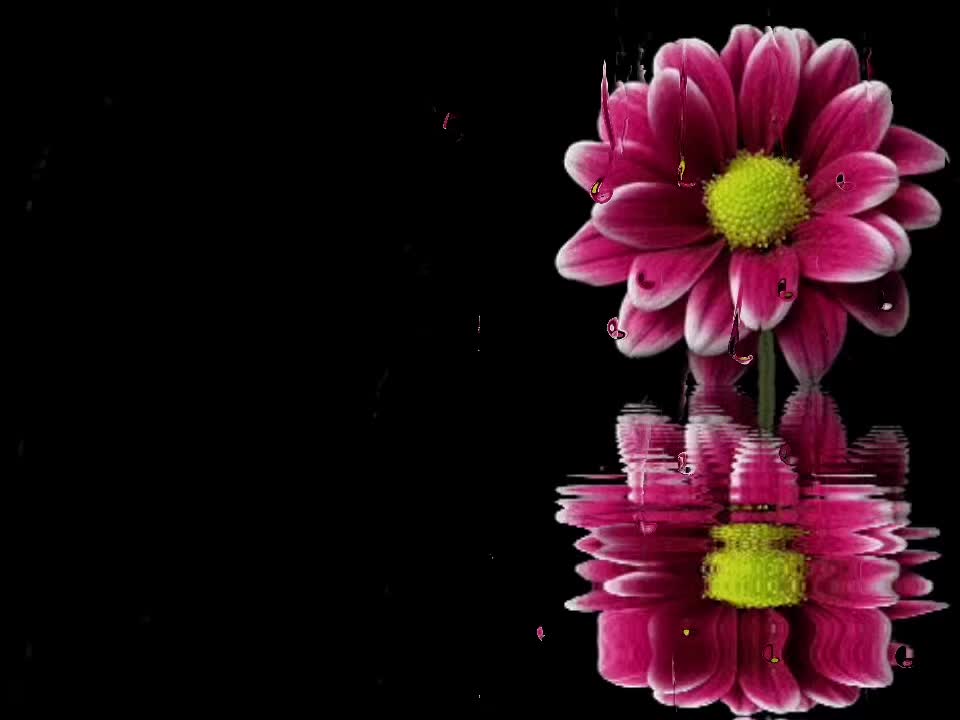 @speed songs | lyrics