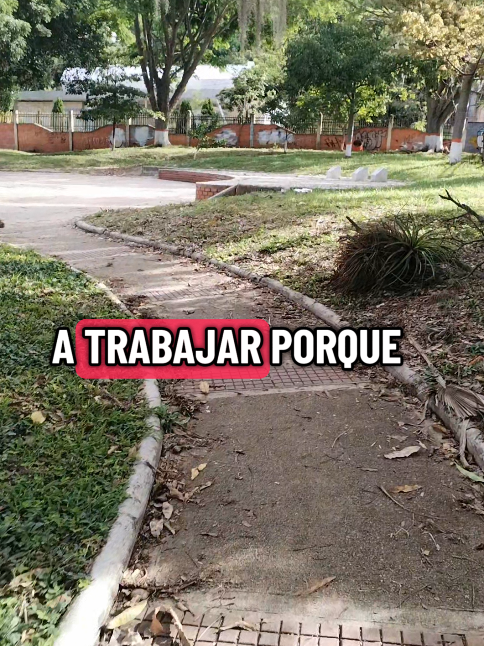 @Liliana Zabala Mendoza