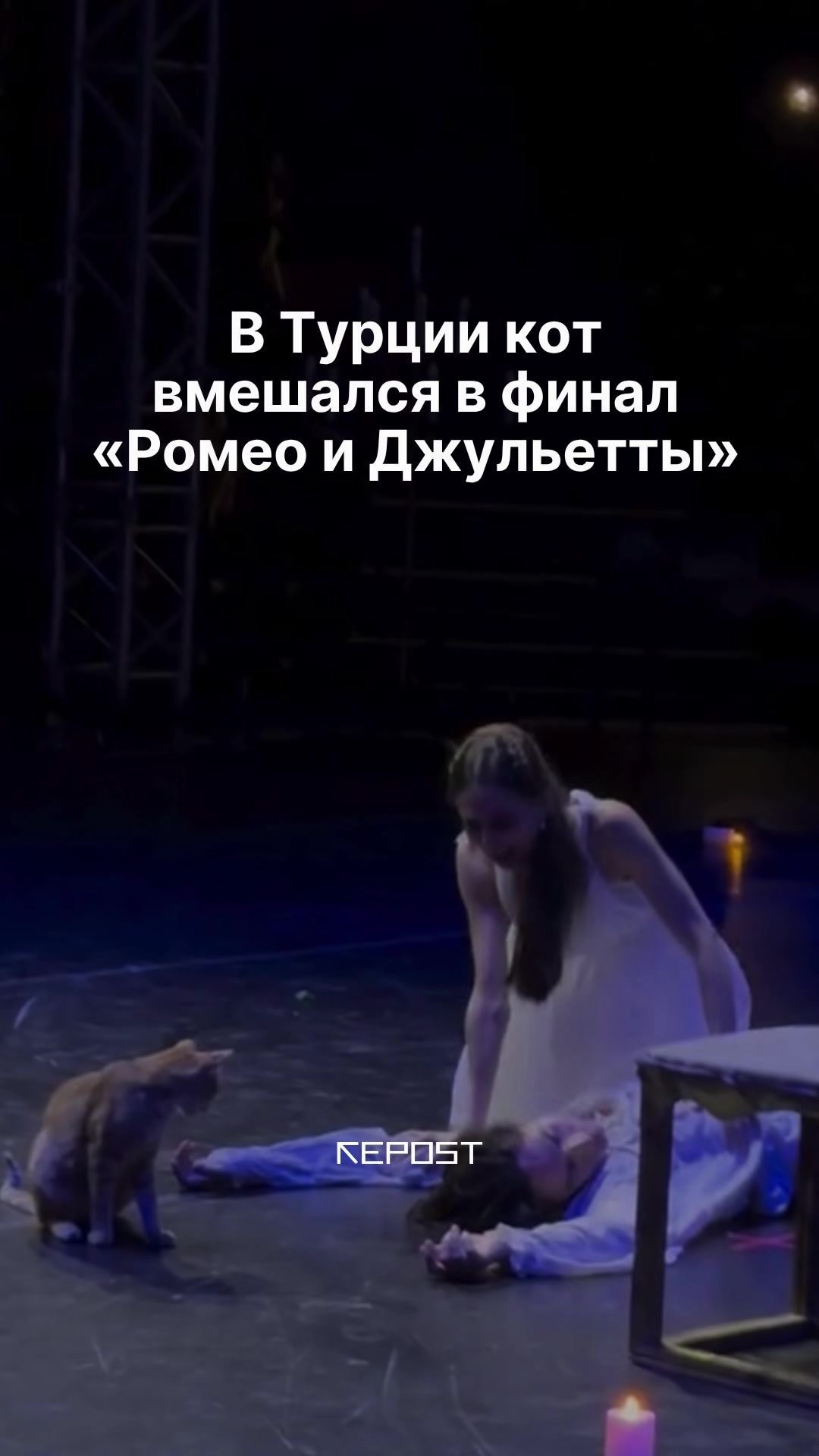 @Repost.uz