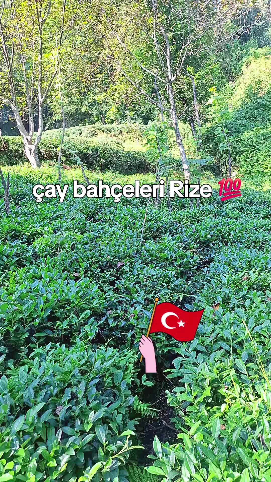 @Adam53Rize💯💯