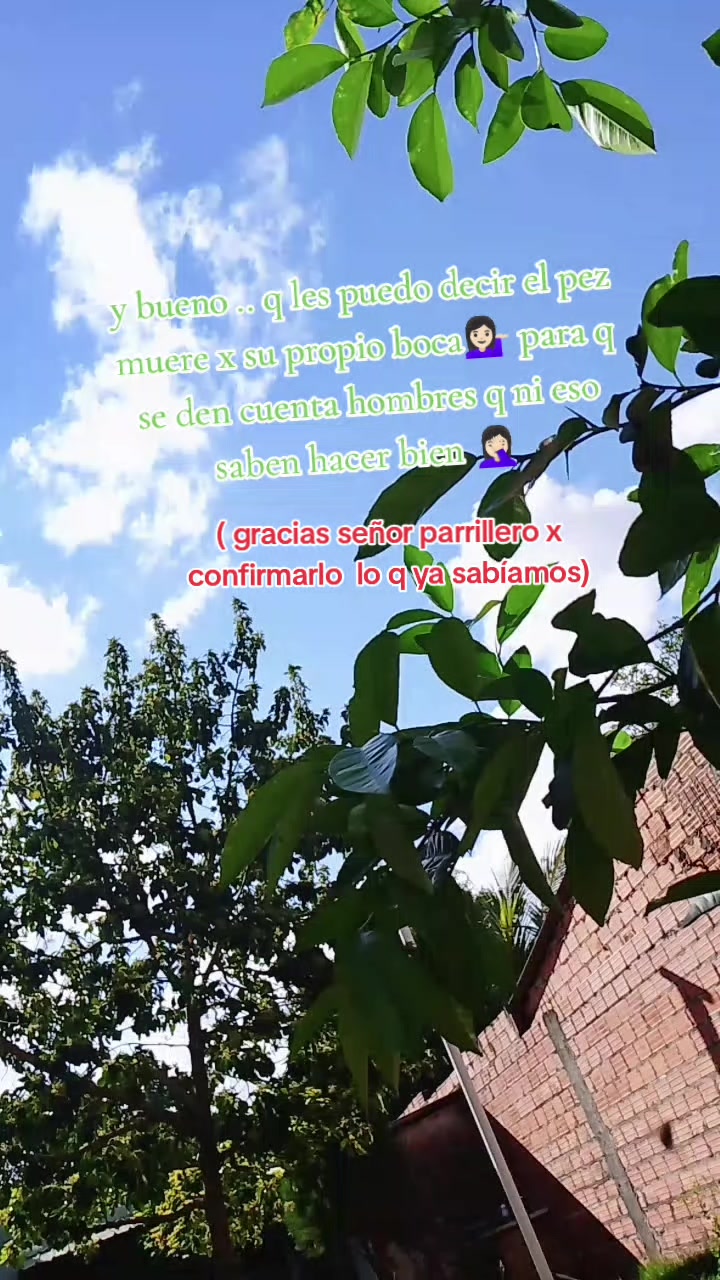 @Arely