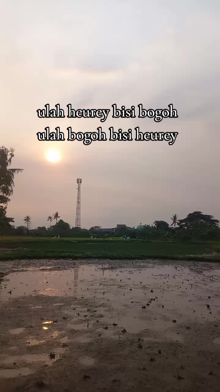 @Aku_Aries