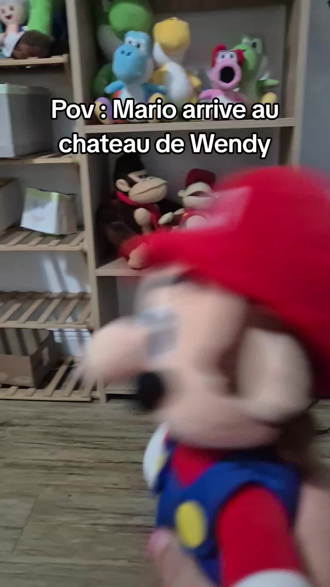 @peluchemario64