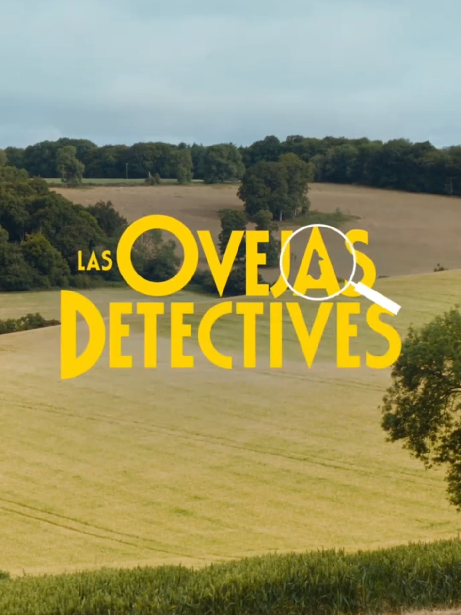 @Iván montaña