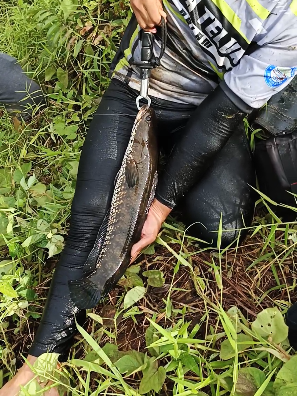 @@ipan.h🇵🇸