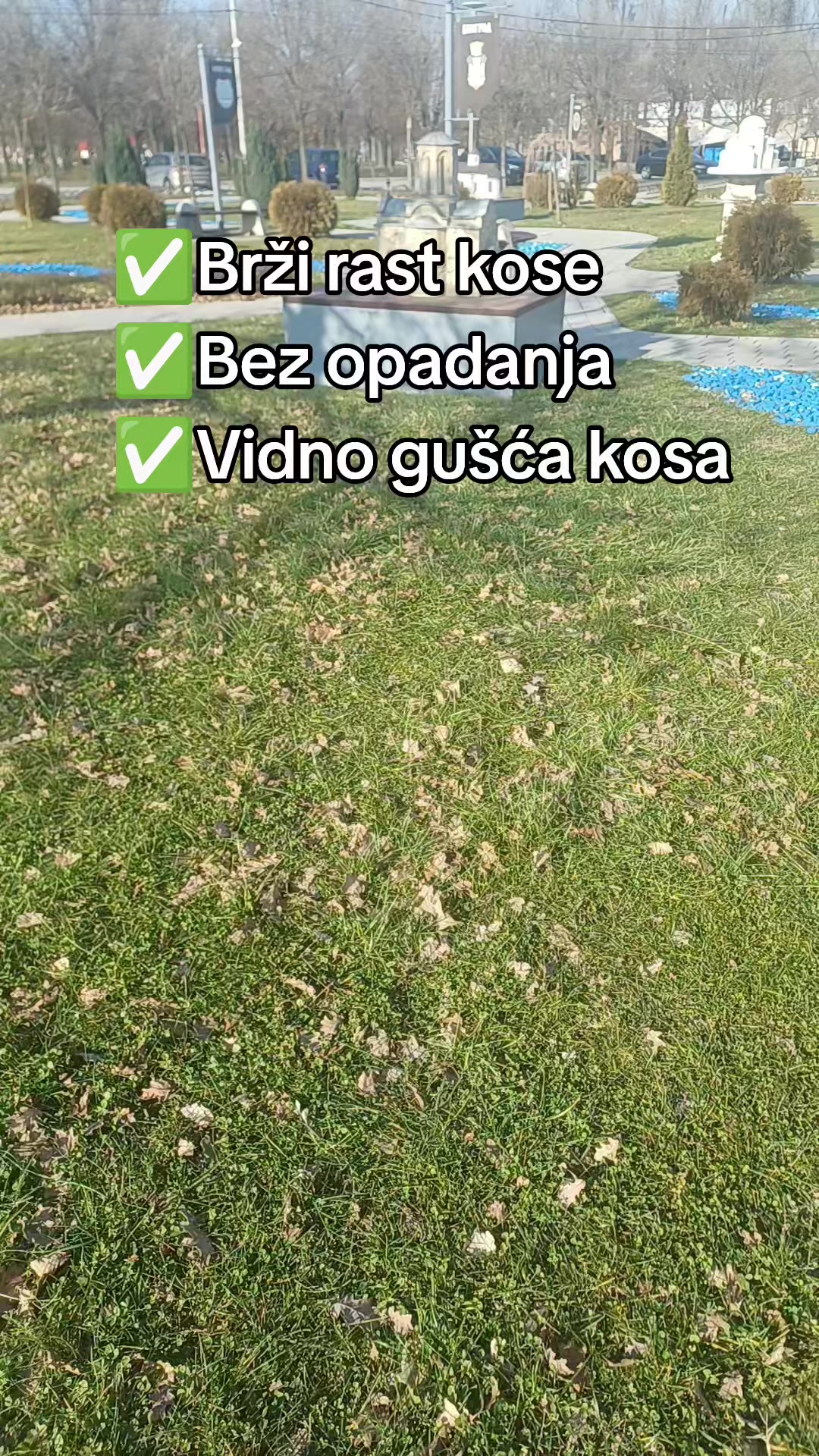 @Kruna sjaja