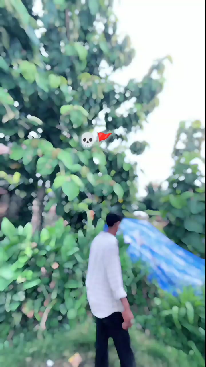 @انیش 💫