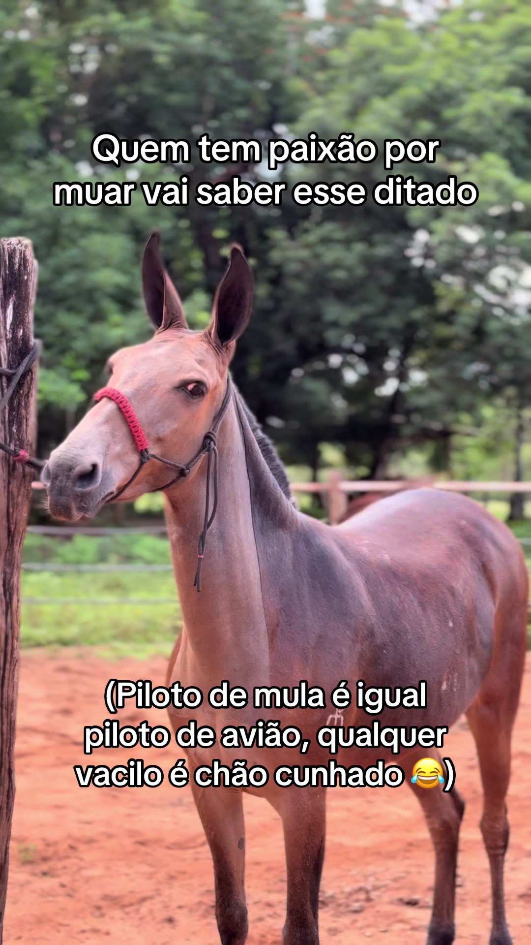 @JP_FREITAS.06