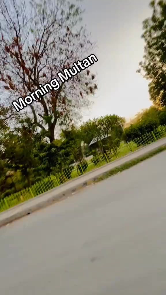 @Zidi SHah