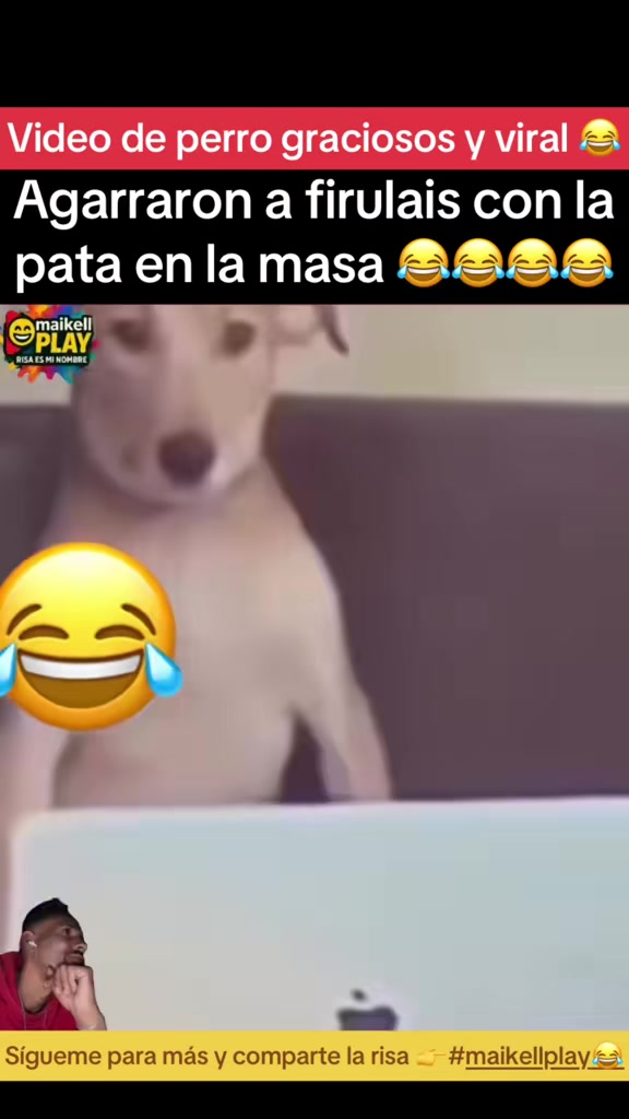@MaikellPLAY -risa es mi nombre
