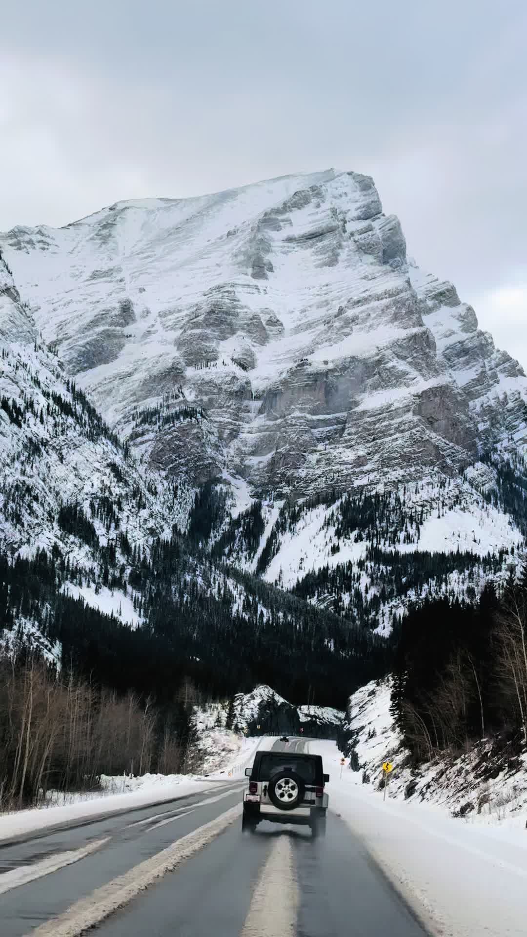 @pramodnegi06🇨🇦