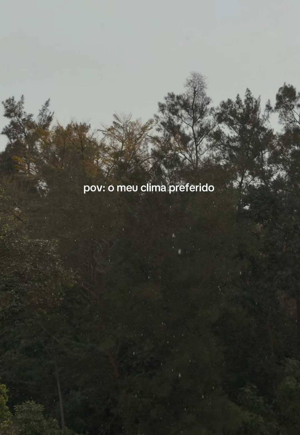 @Carol Branco ✨