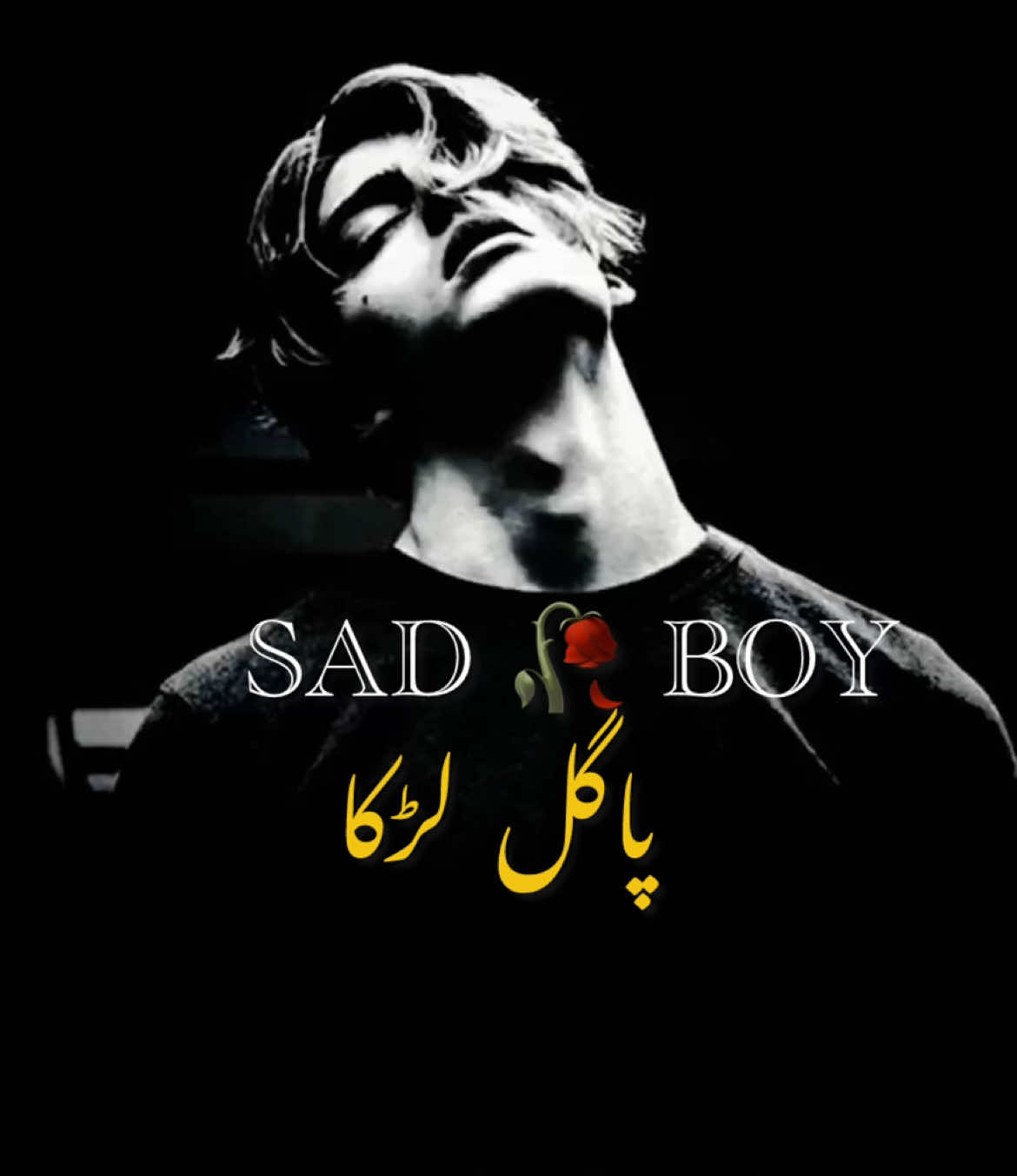 @😢 SAD BOY🎶