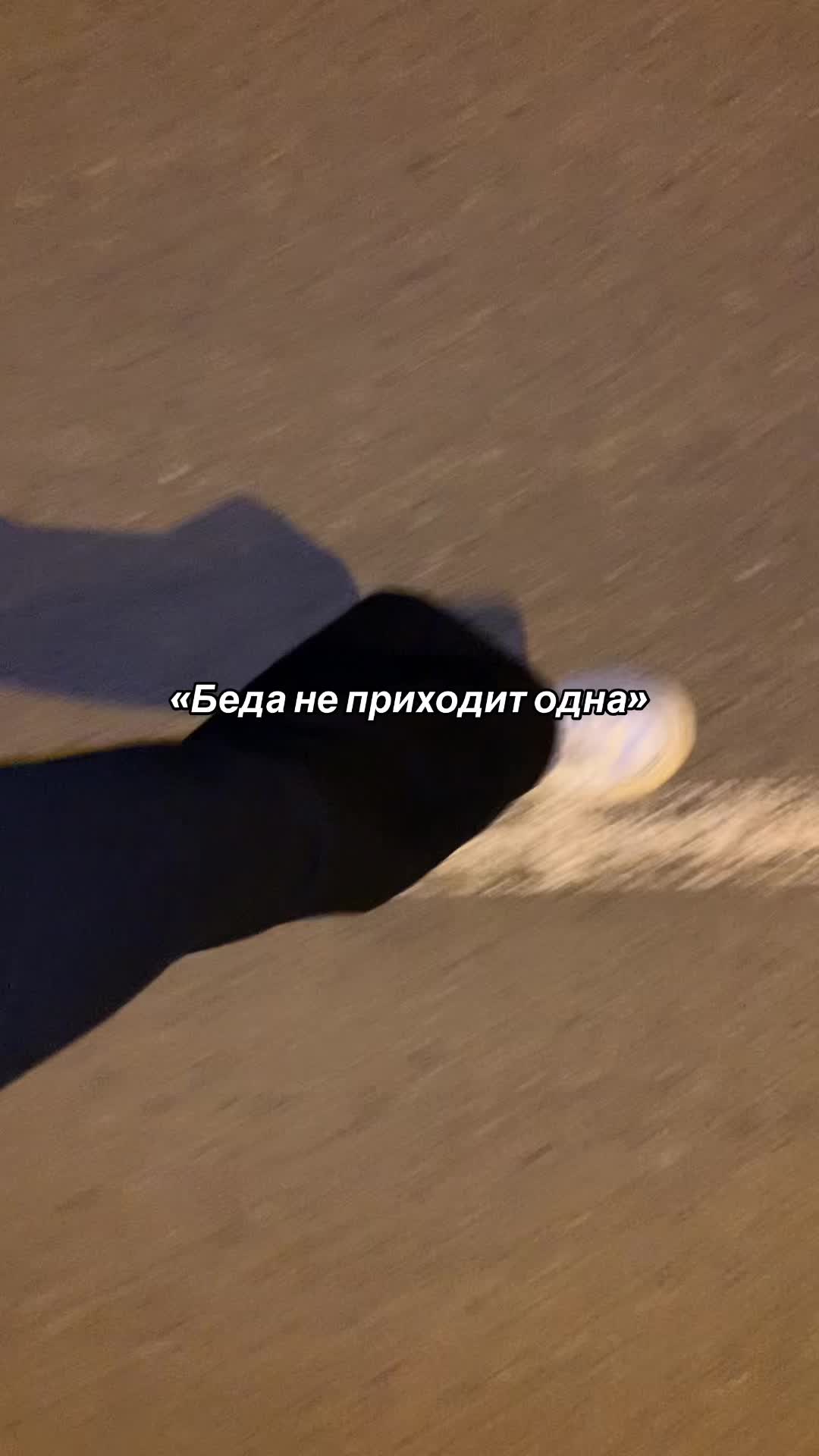 @лисица.