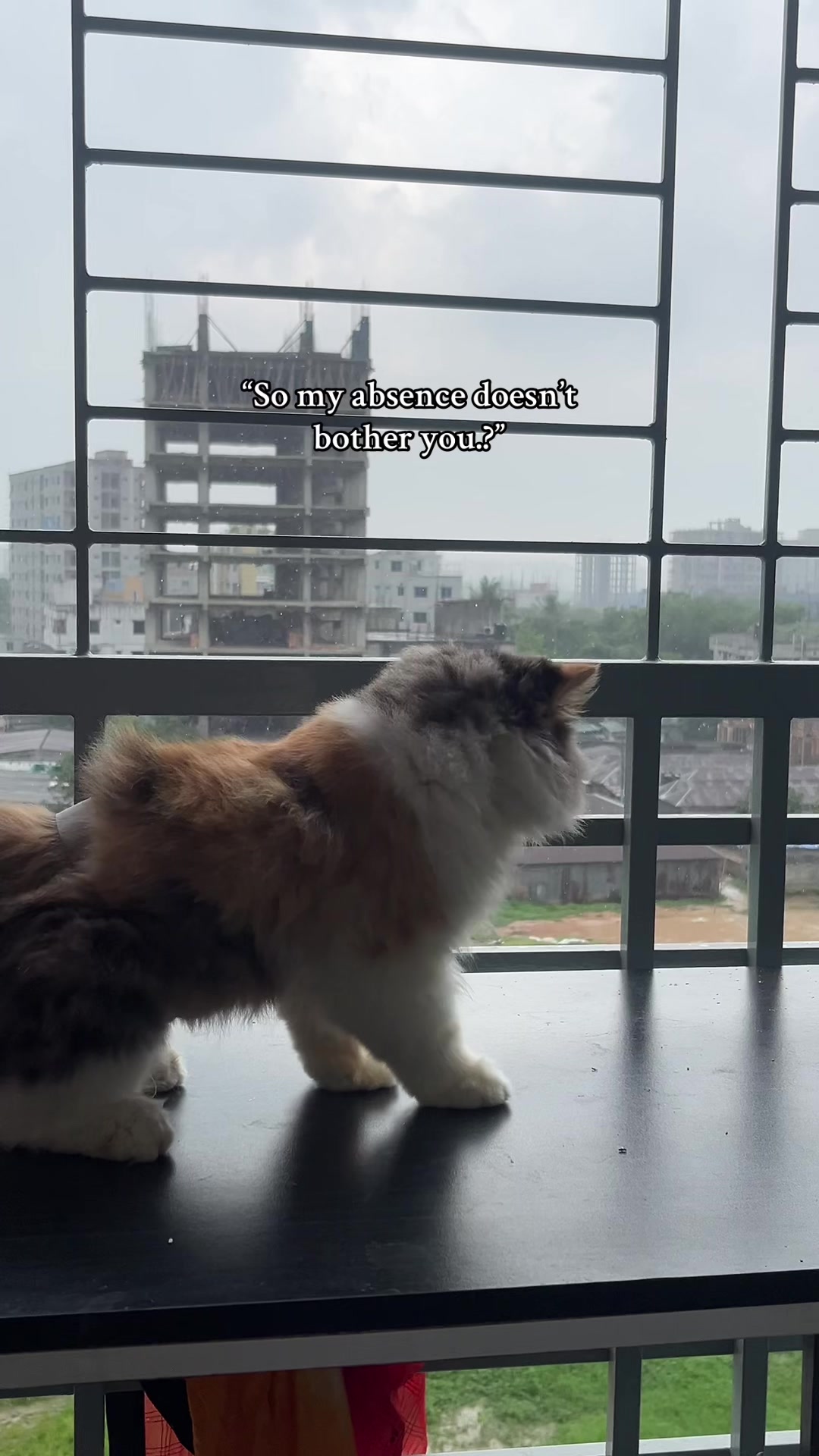 @summaa_79
