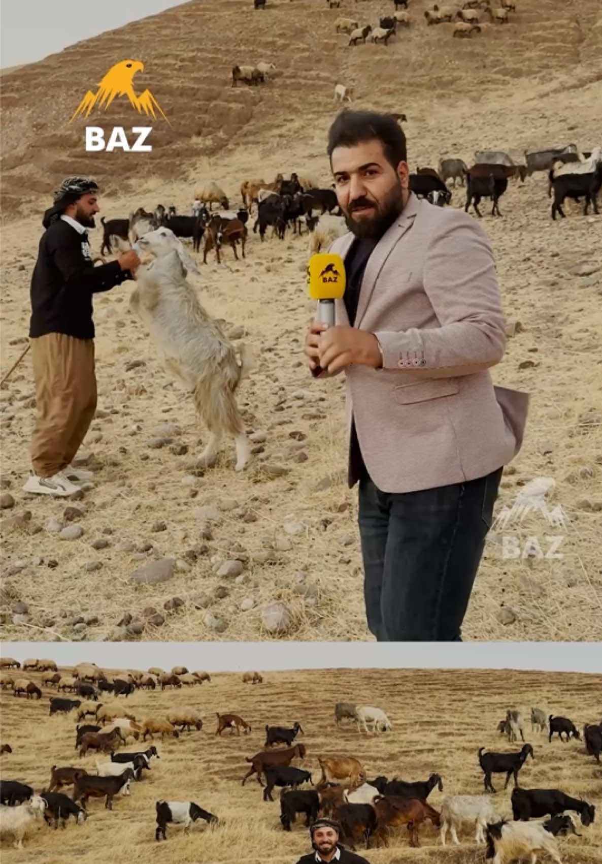 @🎤📺 𓆩جیگر هەركی𓆪 Journalist