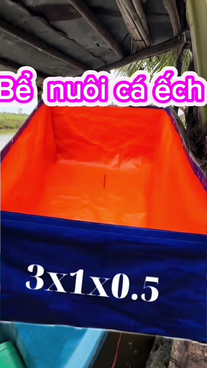 @shop đồ tổng hợp