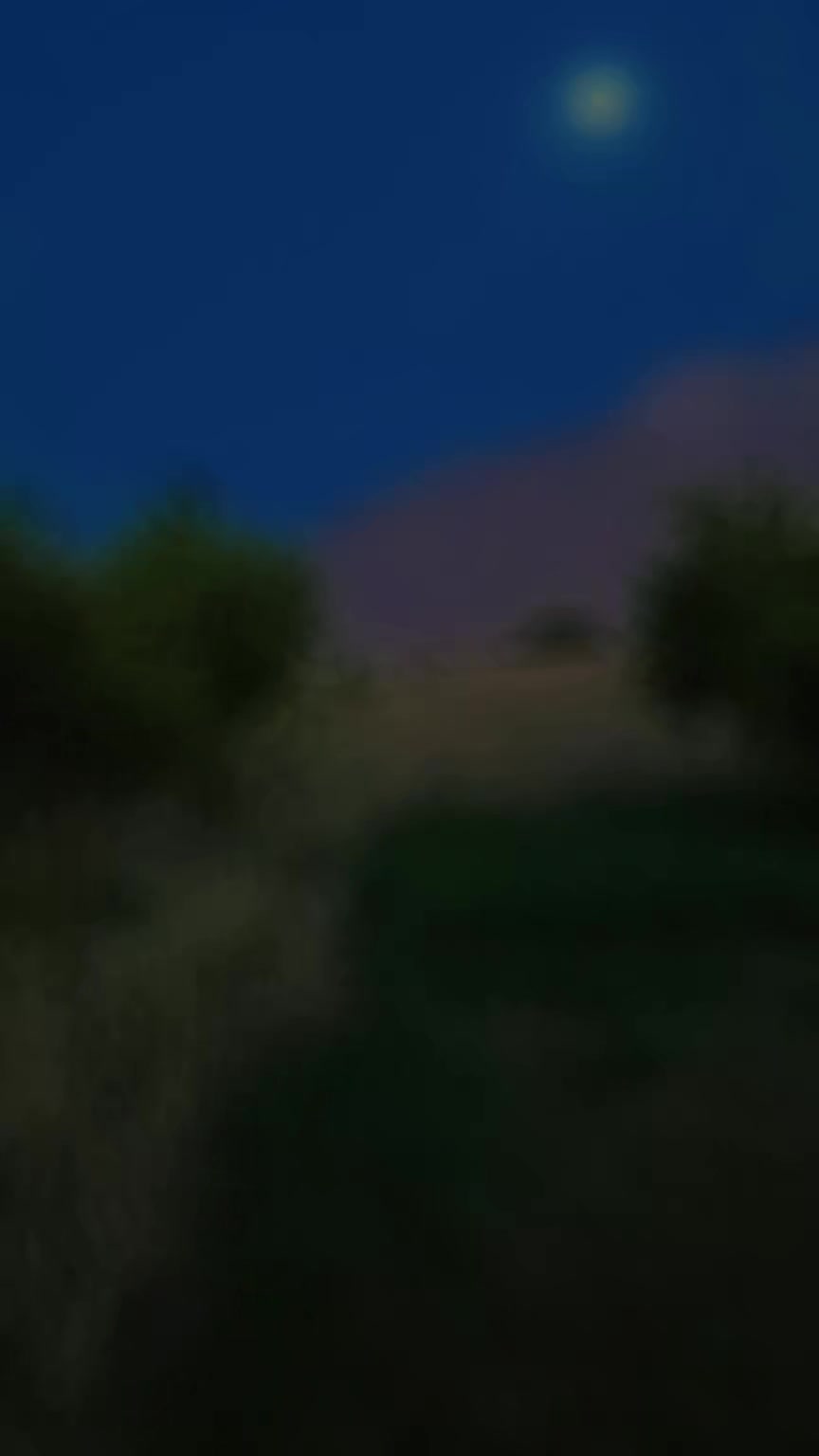 @★彡𝐈𝐭’𝐬 𝐌𝐫 𝐃𝐚𝐰𝐨𝐨𝐝彡★