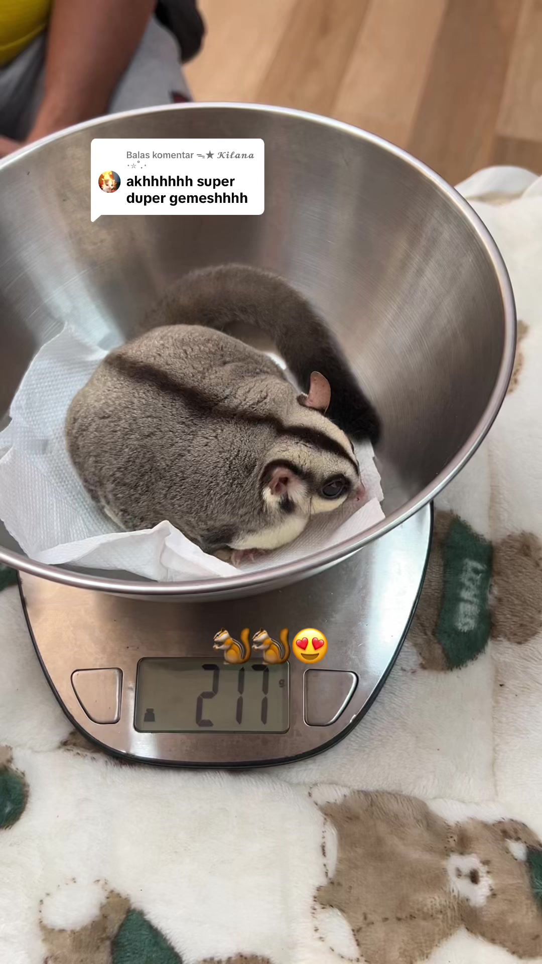 @jesugarglider.id1