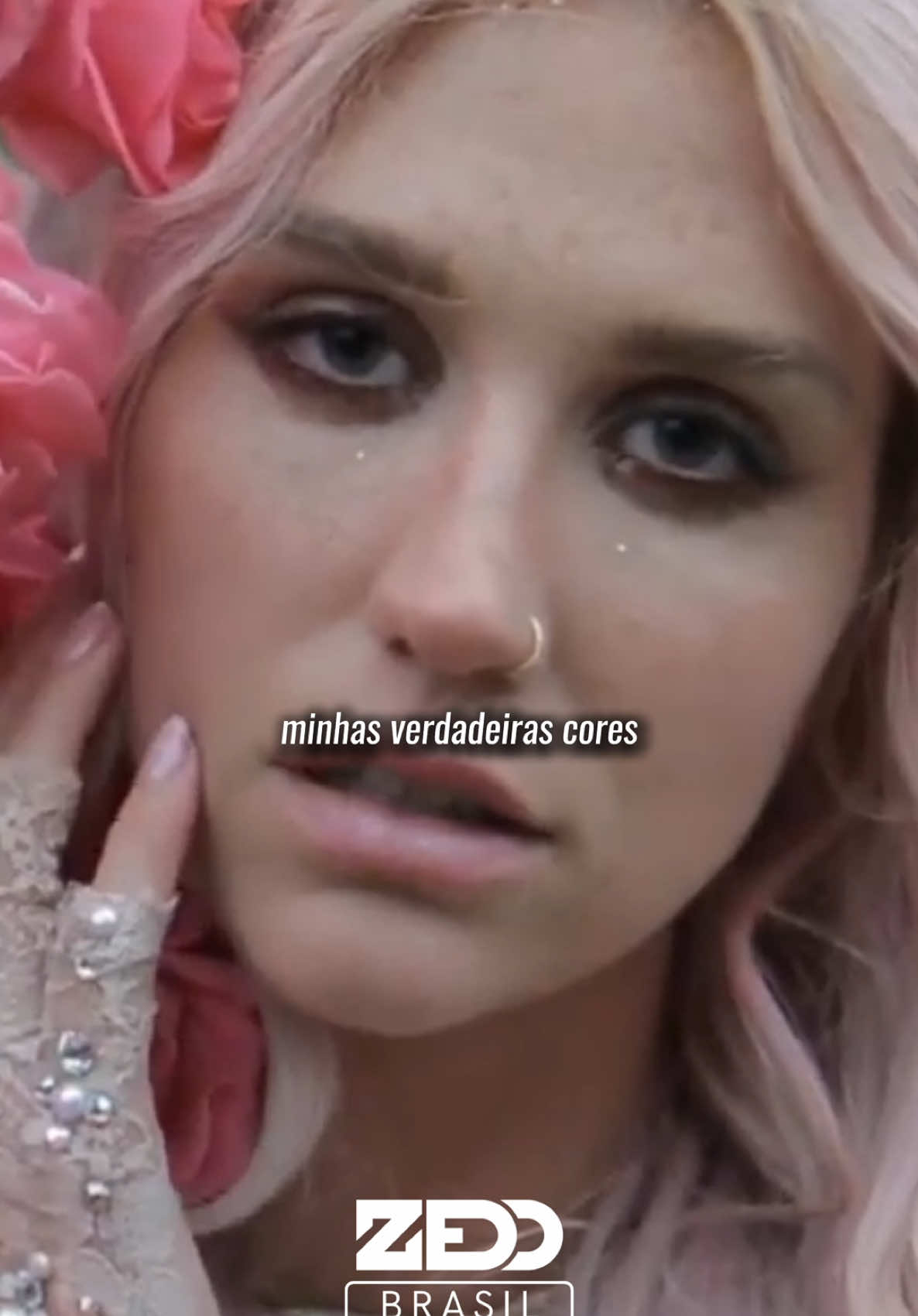 @Zedd Brasil