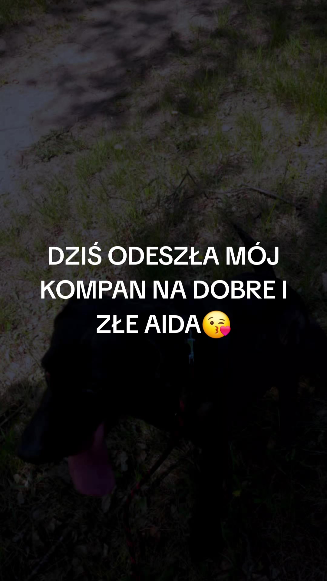 @OSTRY😘