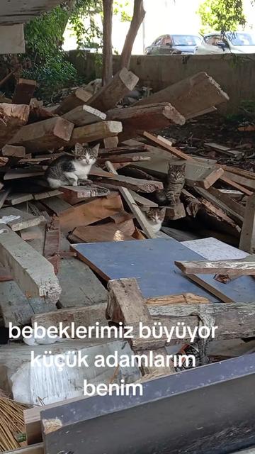@Fatoşçırpan34