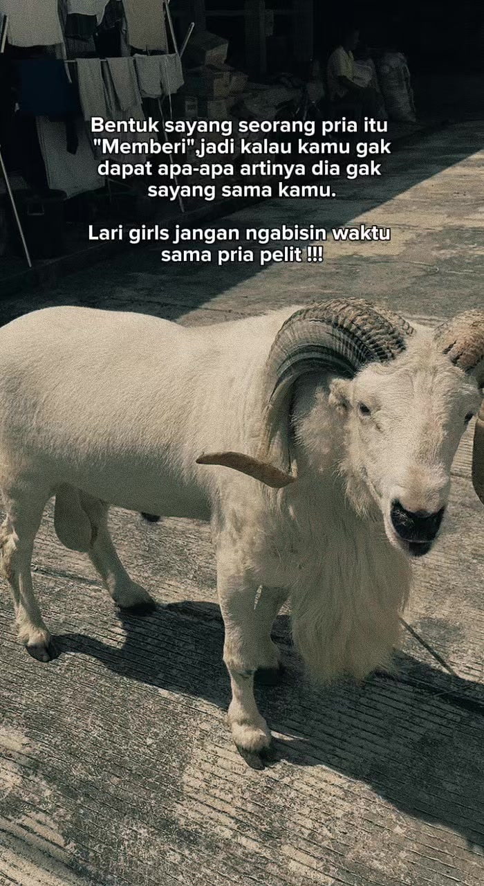 @❣Lisna Capricorn♑❣