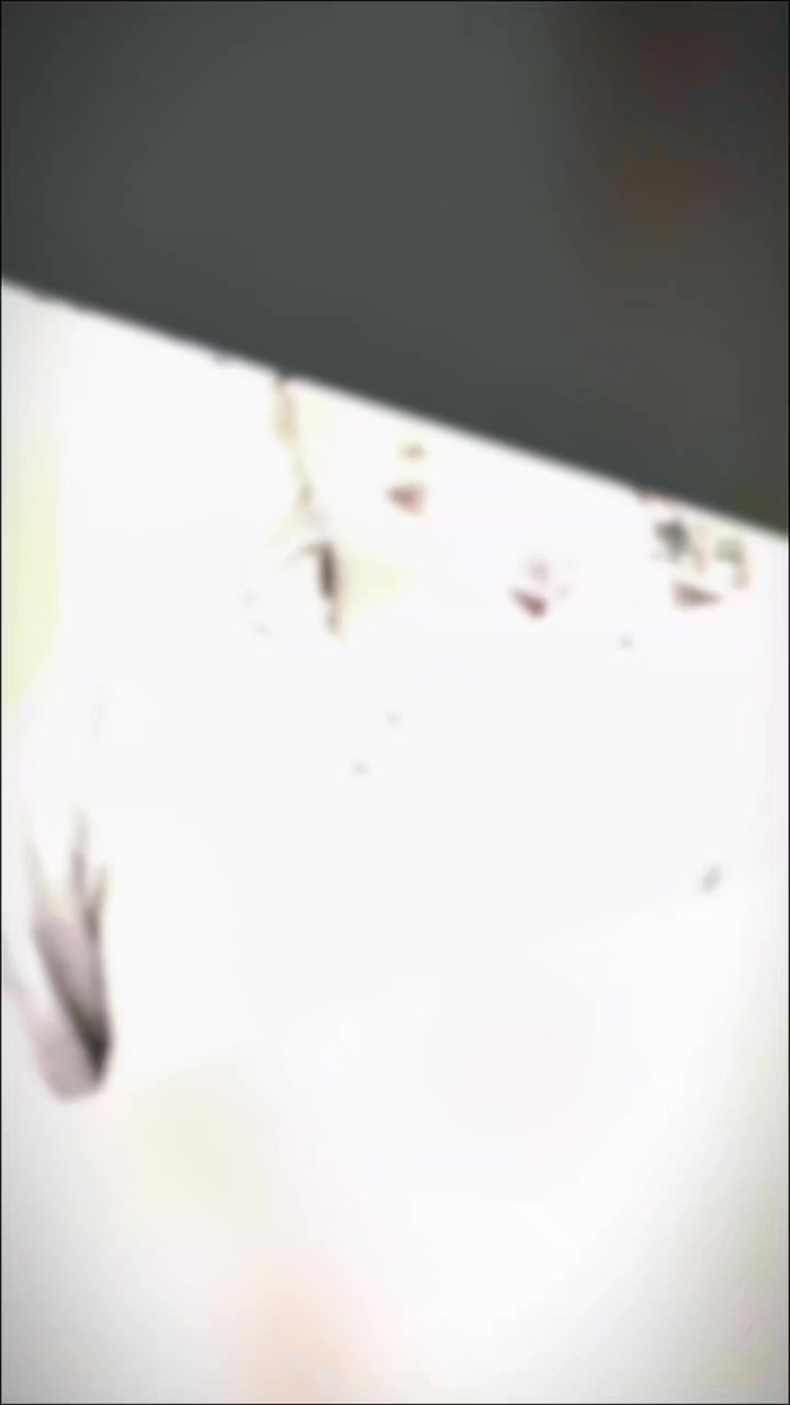 @Ashmee☆👻☠️