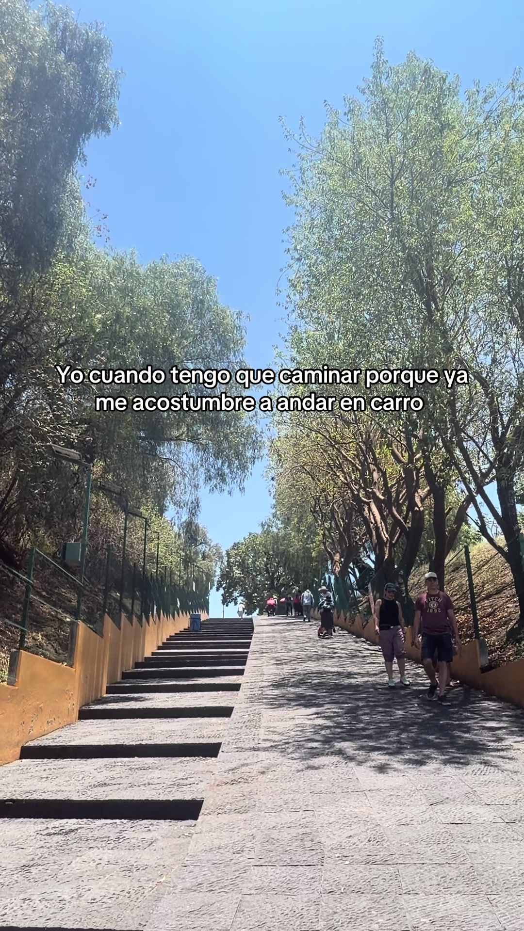 @Alejandraaalv